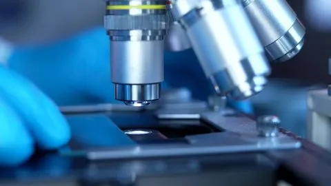 青梅竹马是消防员第二季未增删动漫剧 - 气候科学家专访